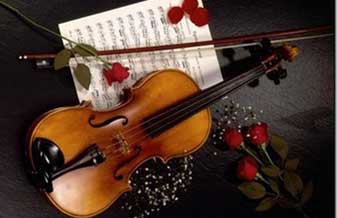 Marco Ferraz, Violonista, Luthier e Professor - Foto 1