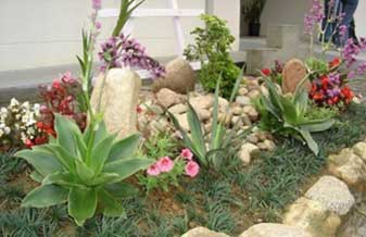 Via Jardim – Serviços de Jardinagem - Foto 1