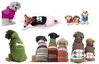 Aam Acessórios Para Cães e Gatos - Foto 1