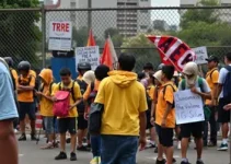 gangue escola São Paulo