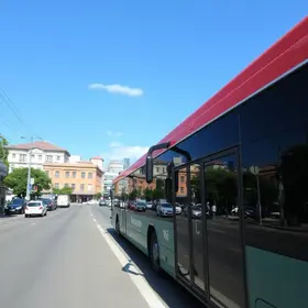 Grajaú para Raposo Tavares de transporte público