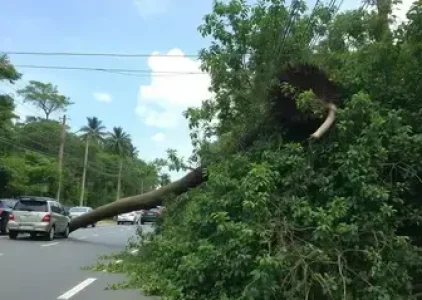 Últimas noticias de Cidade Dutra