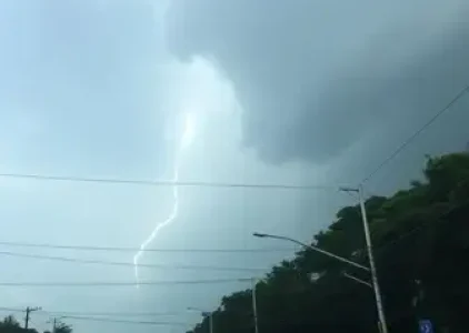 Últimas noticias de Cidade Dutra